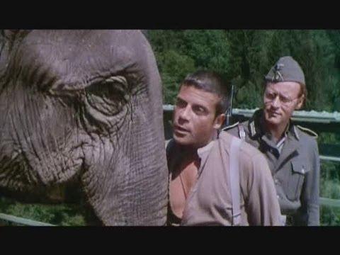 Larry Karaszewski on Hannibal Brooks