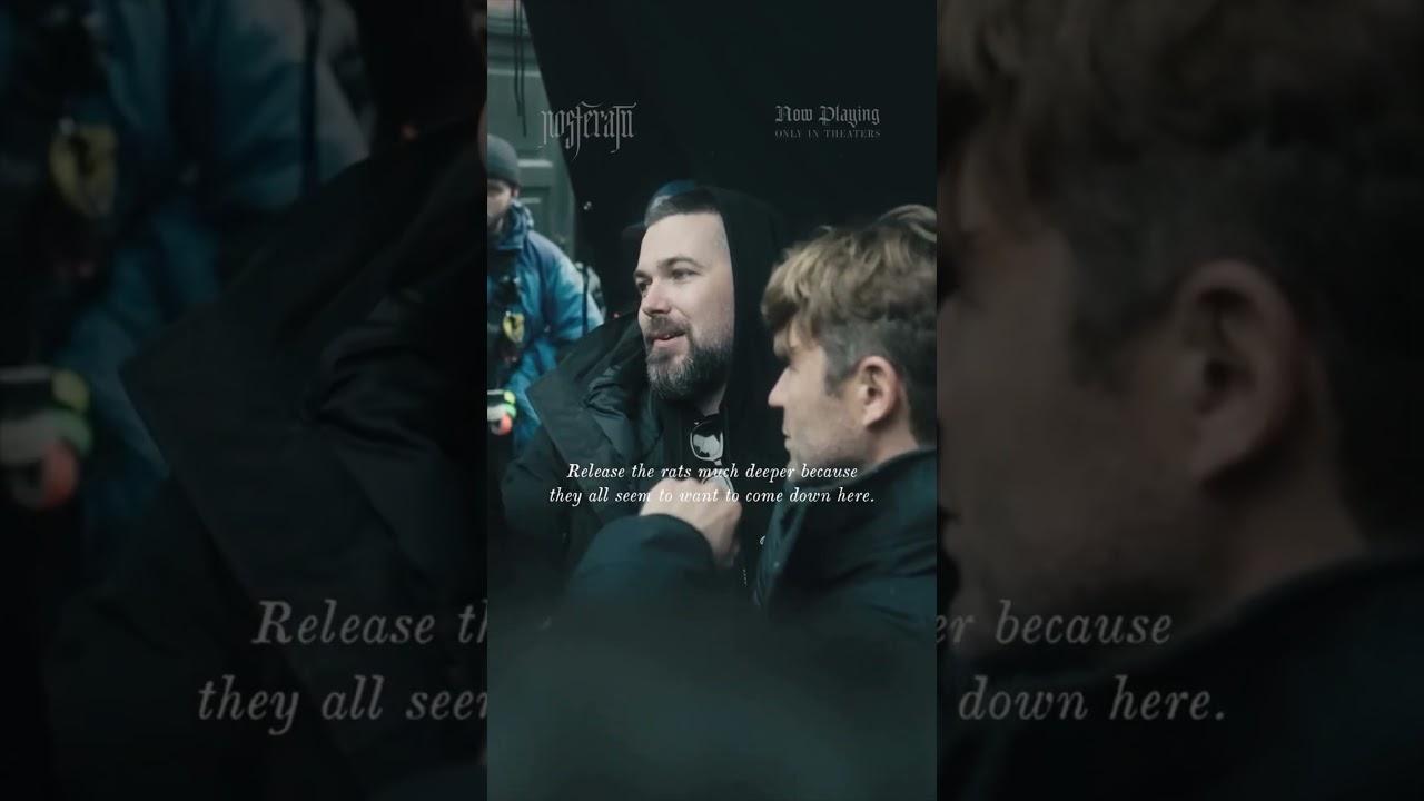 Horses. Wolves. 2,000 live rats. The animal actors of NOSFERATU.