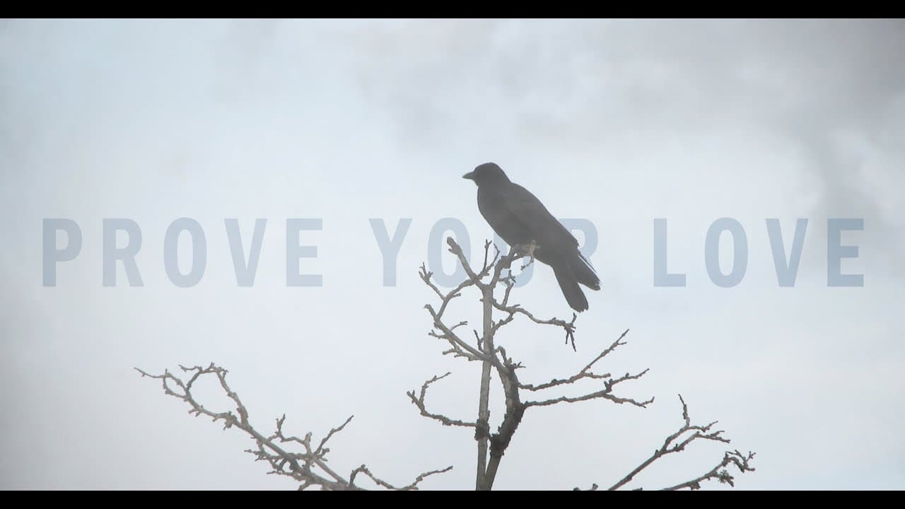 PROVE YOUR LOVE (2024) Official Trailer