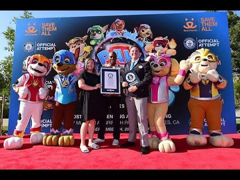 Guinness World Records Title for Most Dogs Attending a Film Screening