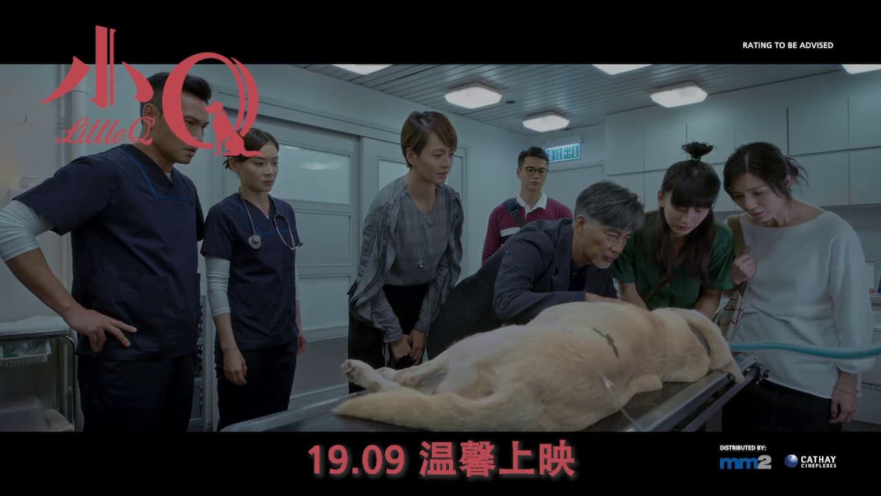 小Q | Little Q | In Cinemas 19 Sept