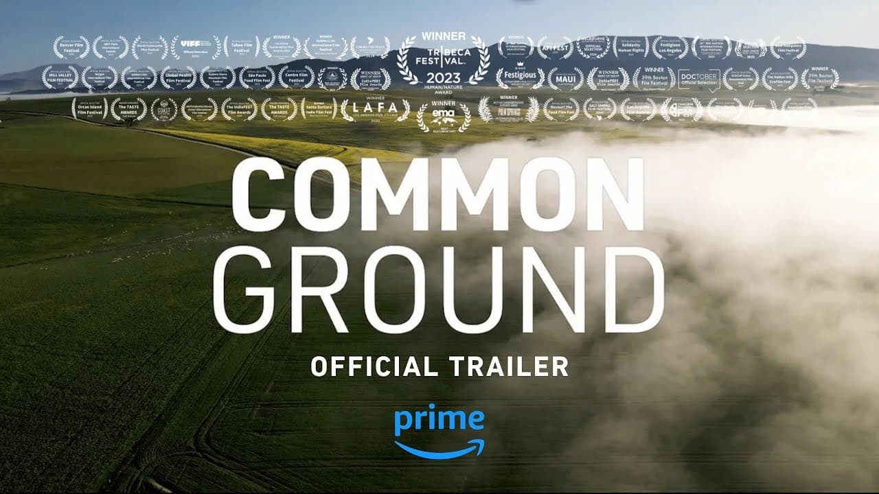 Official Trailer