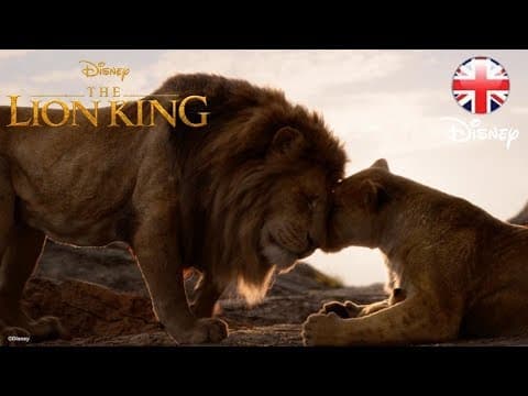 True King TV Ad