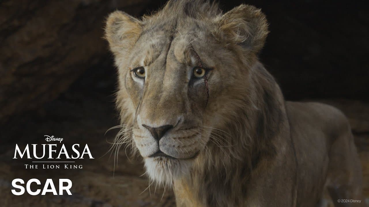 Scar
