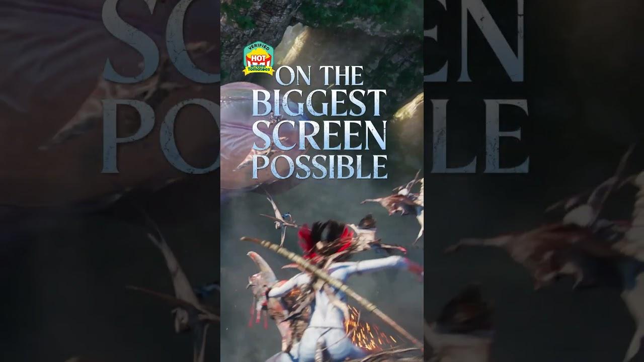 #1 Movie in the World