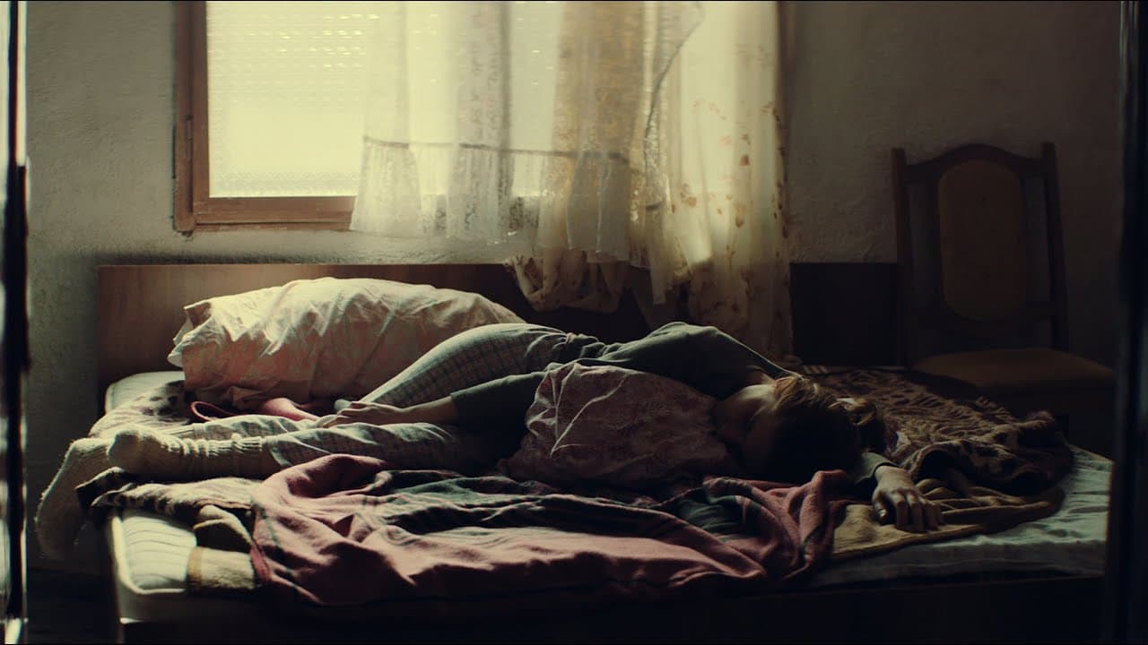 Looking for Venera – trailer | IFFR 2021