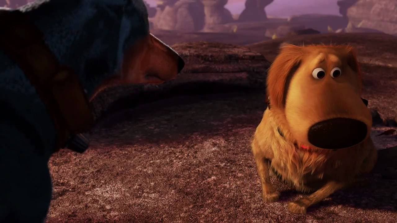 The Dog Pack