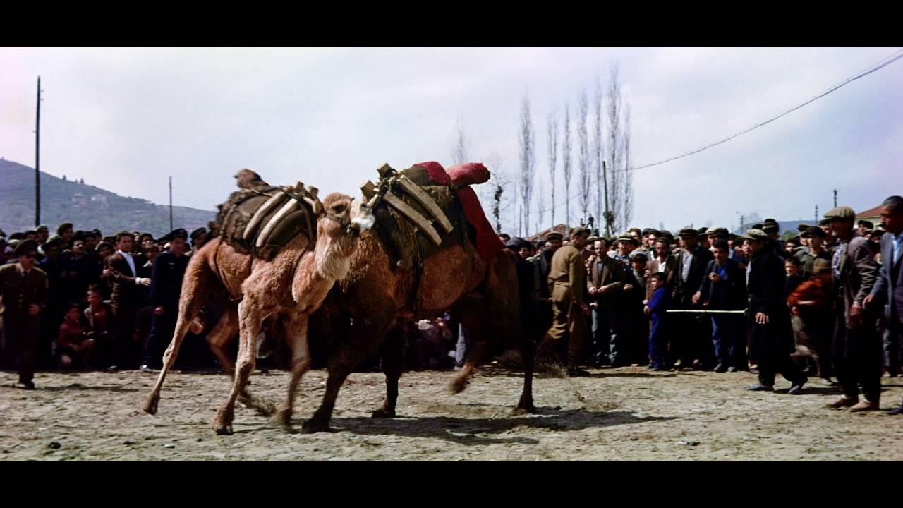 Flying Clipper - Traumreise unter weissen Segeln (German Trailer)