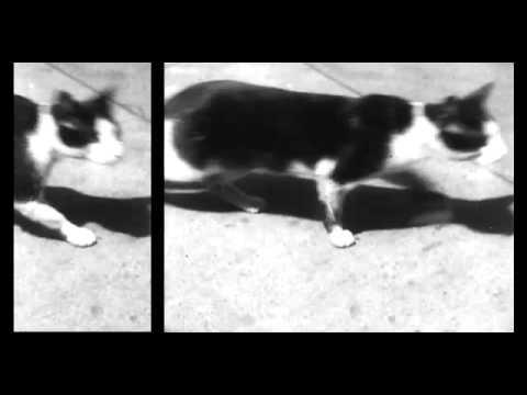 TRAILER | All This Can Happen