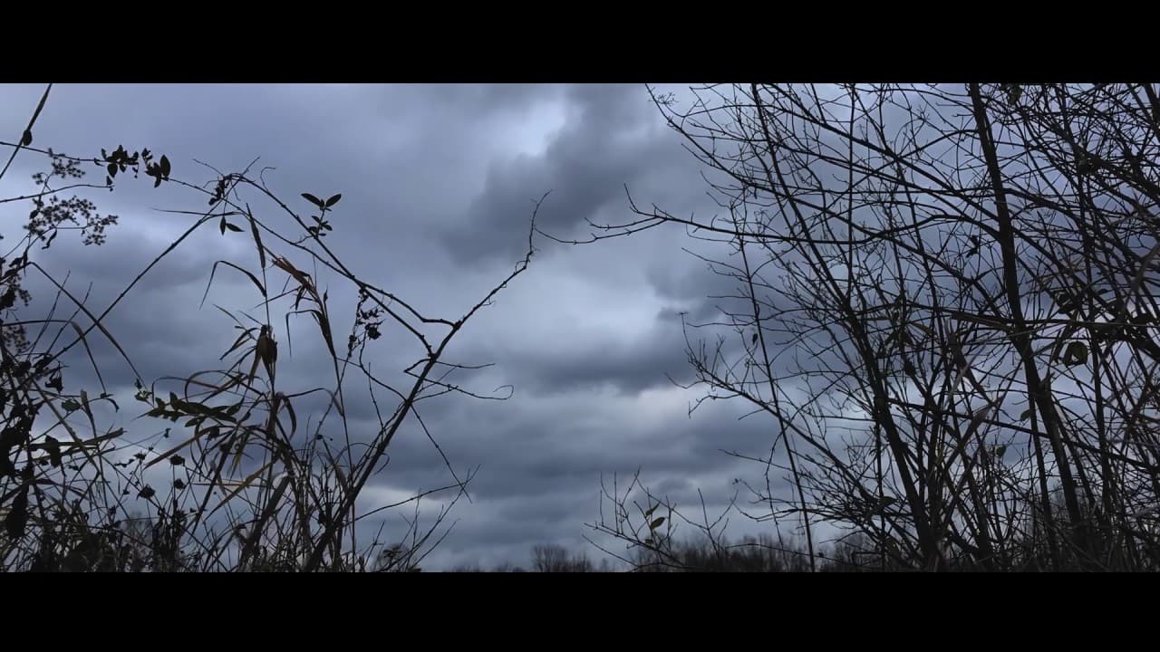 The Mothman of Point Pleasant (2017 documentary) Teaser