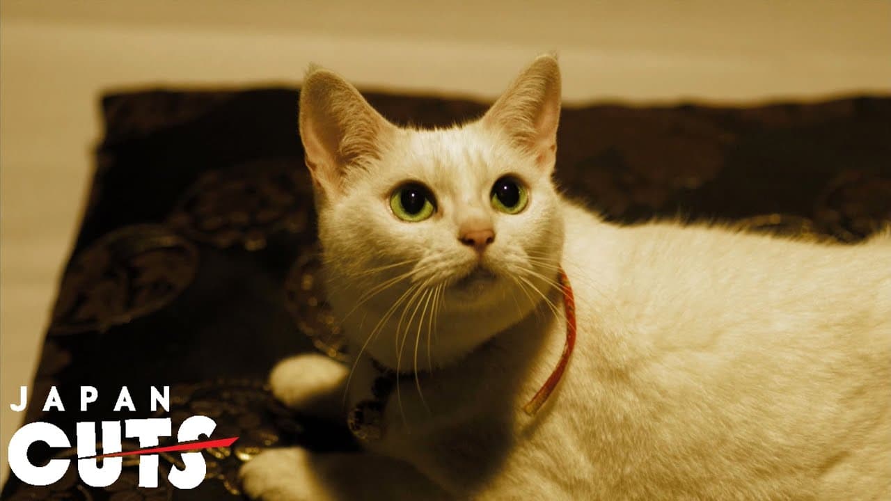 "Neko Samurai ～Samurai ♥ Cat～" trailer (English subtitles) JAPAN CUTS 2014