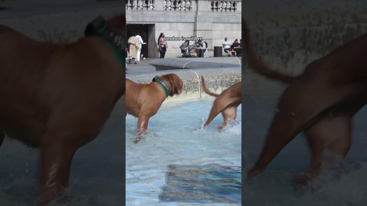 spotted something odd in London today...