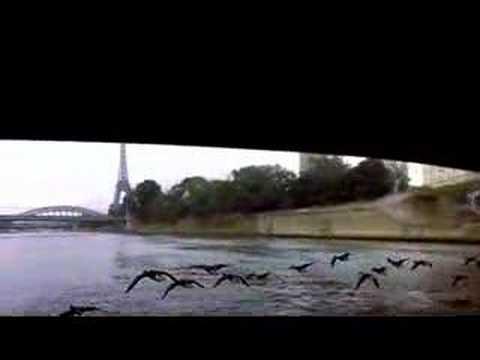 Winged Migration trailer