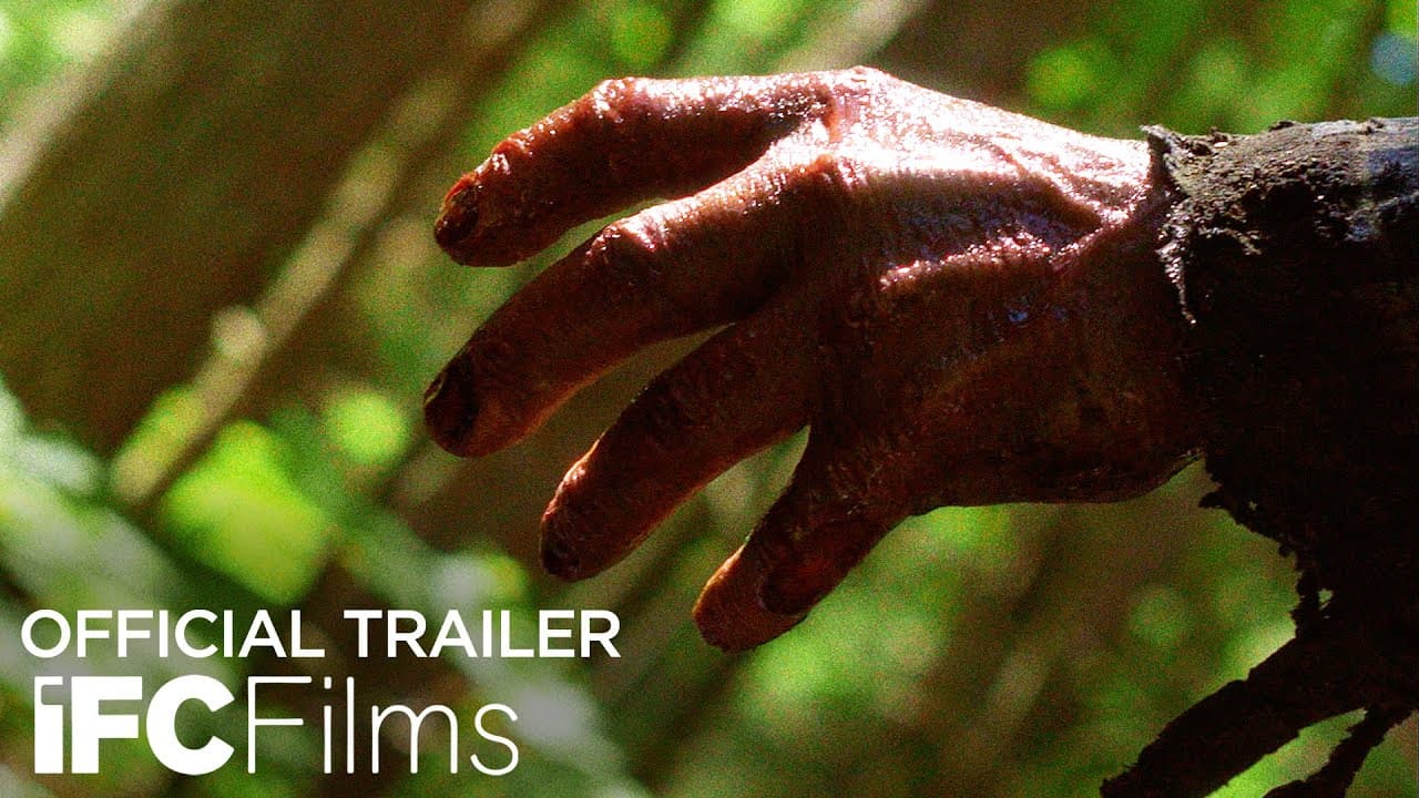 "Buckle Up" Trailer