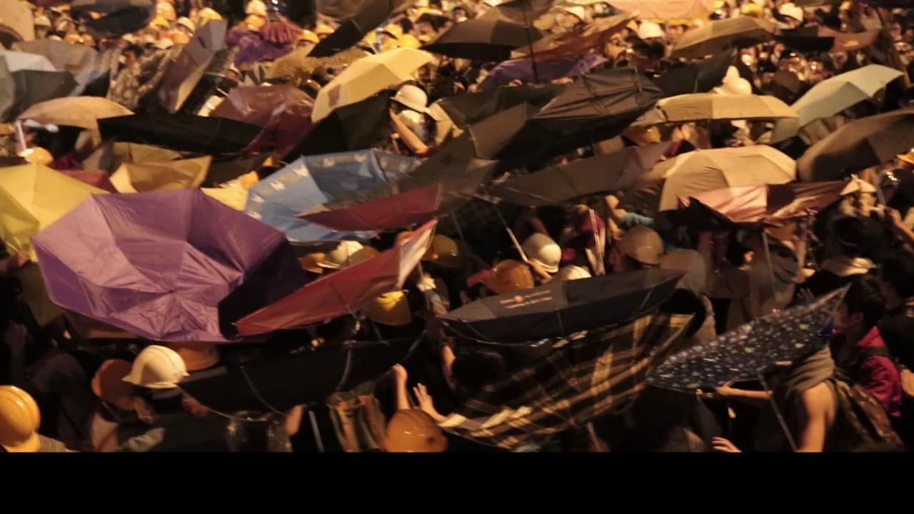 "Raise The Umbrellas" trailer