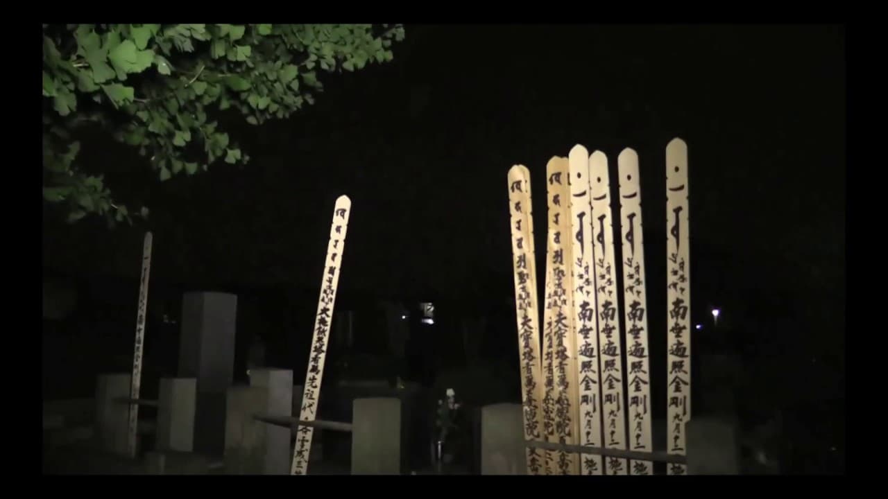 Not Found 24－ネットから削除された禁断動画－