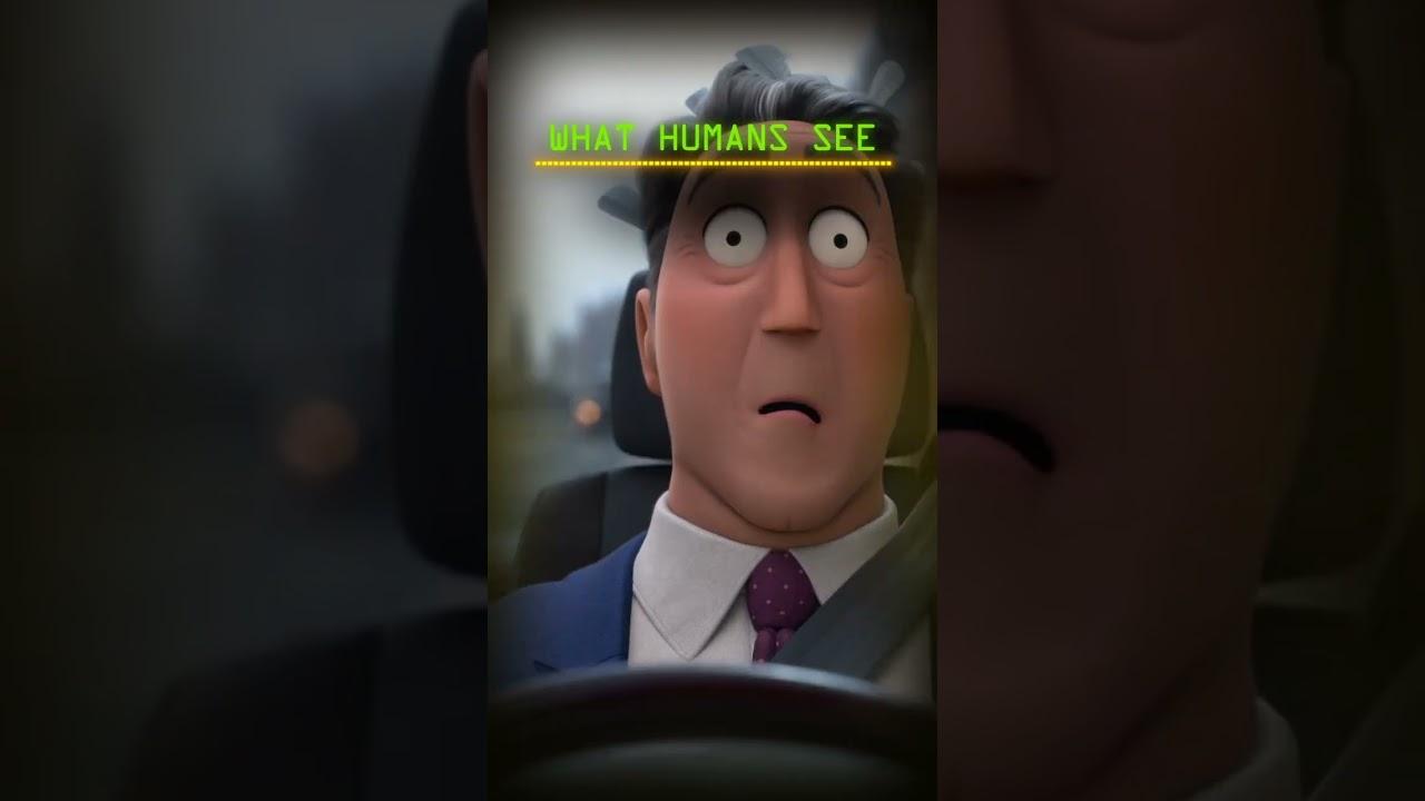 what animals see vs what humans see