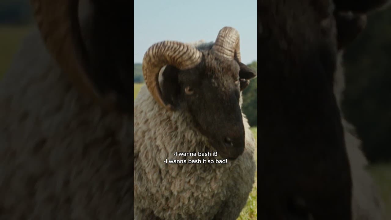 Sheep can do anything...