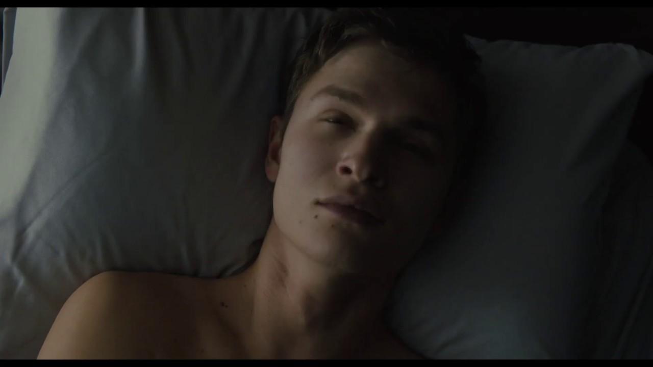 The Goldfinch - In Cinemas Now