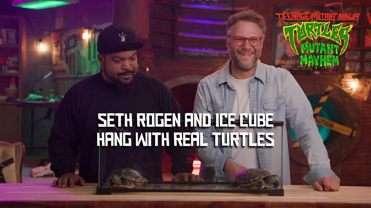 Seth Rogen and Ice Cube hang with Real Turtles