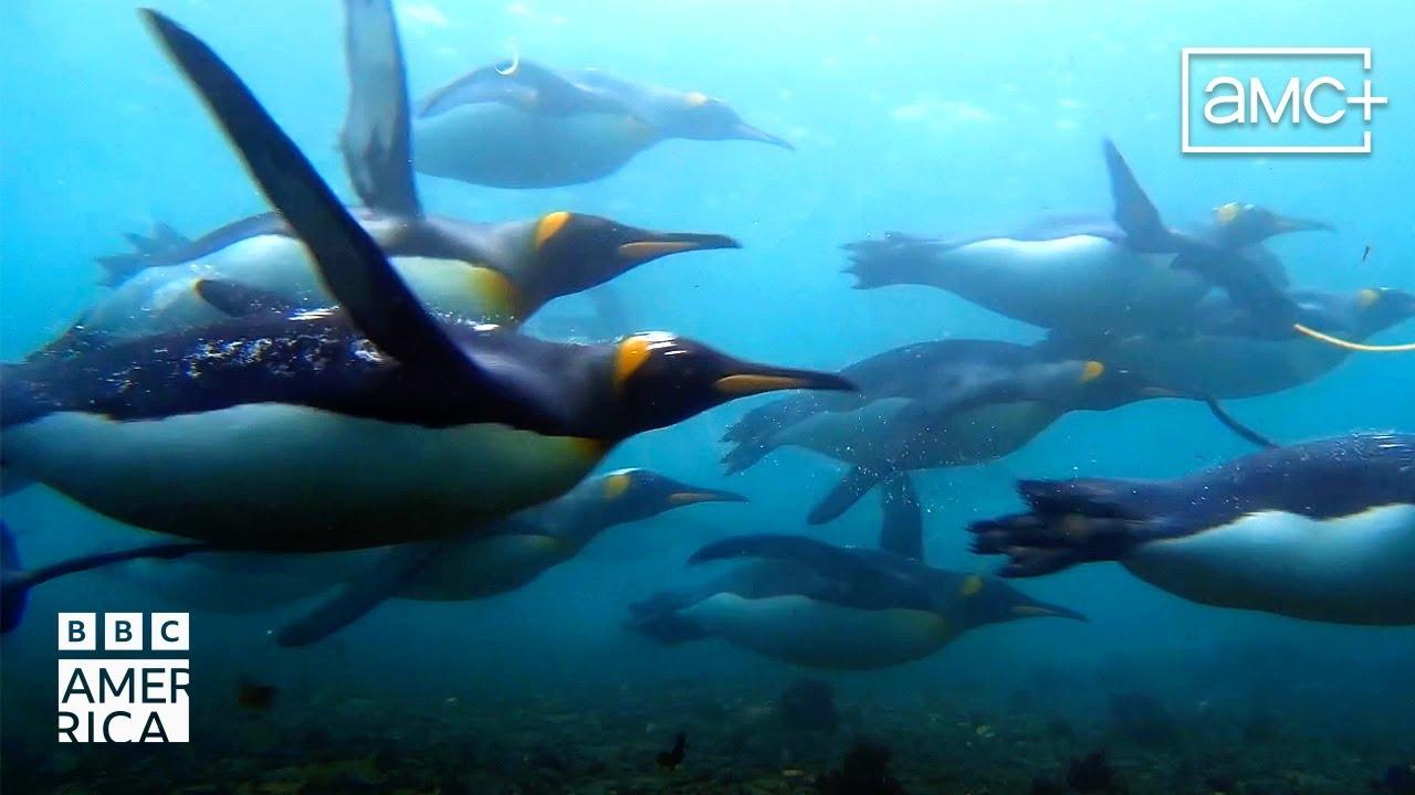 BBC America Official Trailer