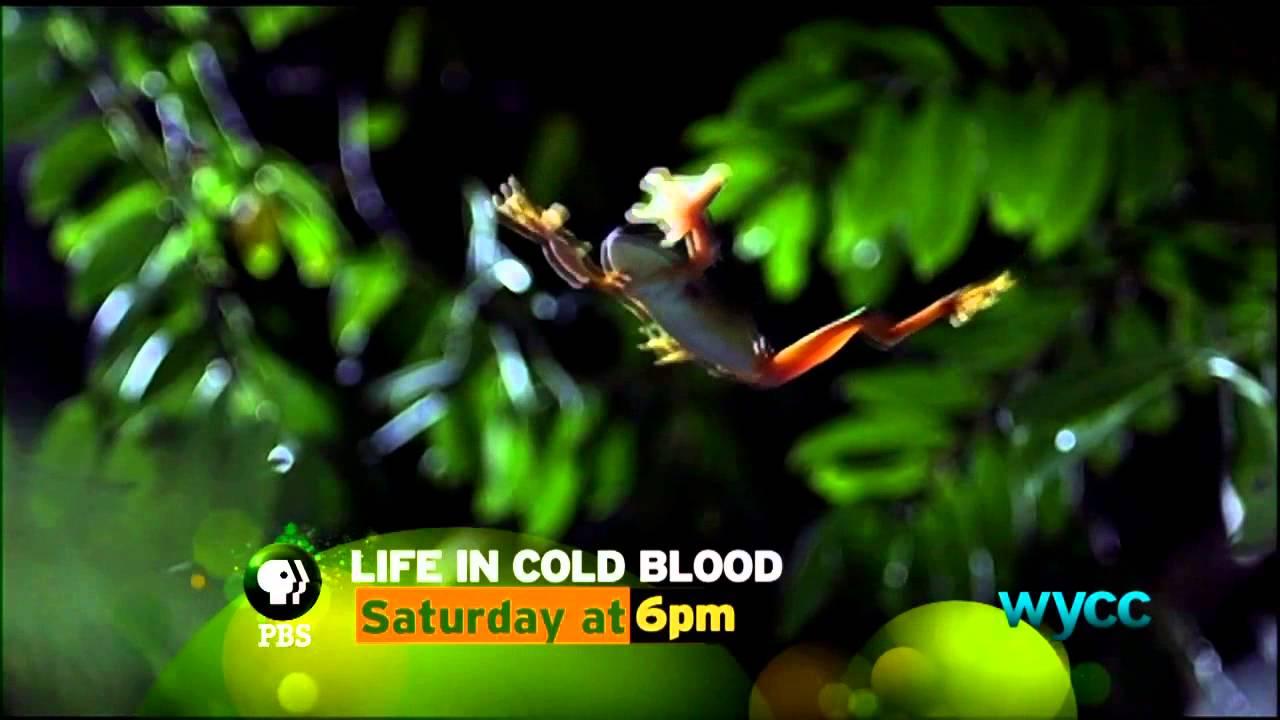 Life in Cold Blood - Saturdays at 6PM