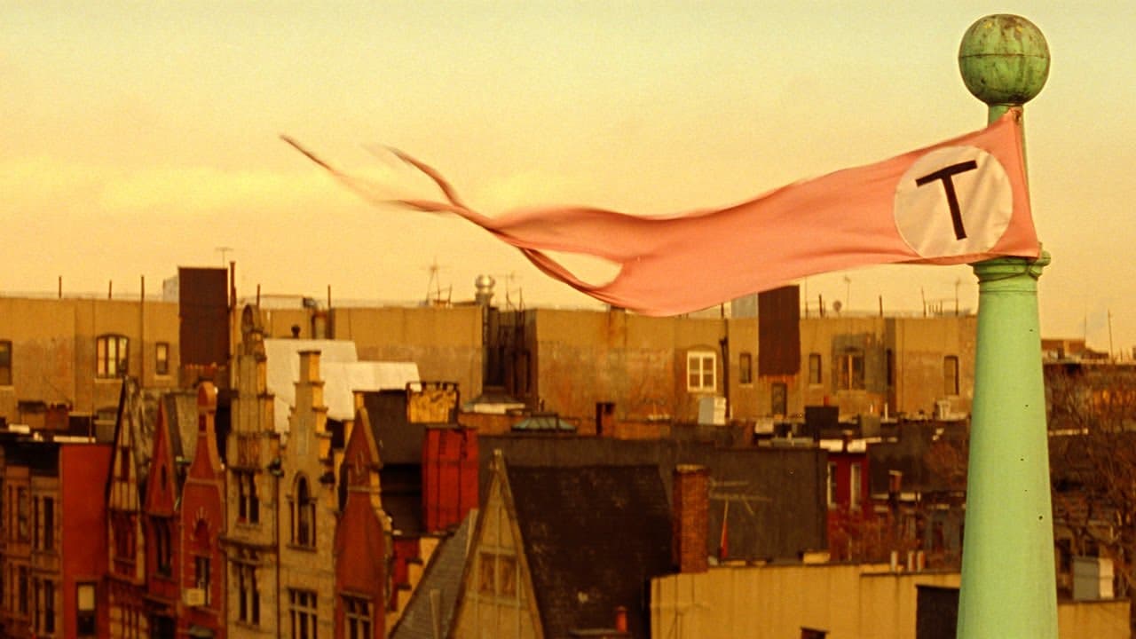 Three Reasons: The Royal Tenenbaums