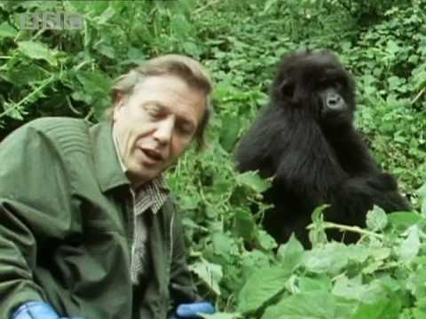 Sir David Attenborough - The story behind Life on Earth - BBC