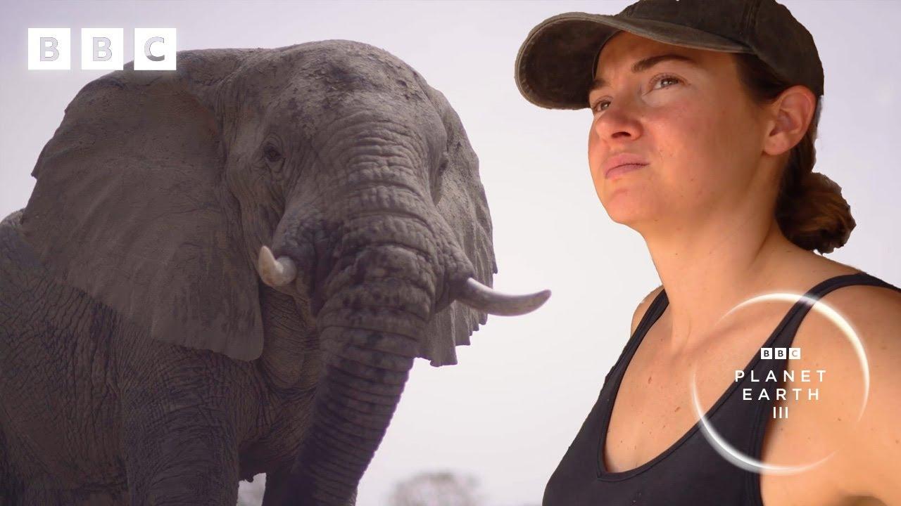 Elephants saved from poaching learn to trust again | Planet Earth III – Behind the scenes
