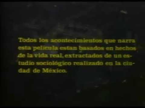 Perro callejero 1 pelicula completa