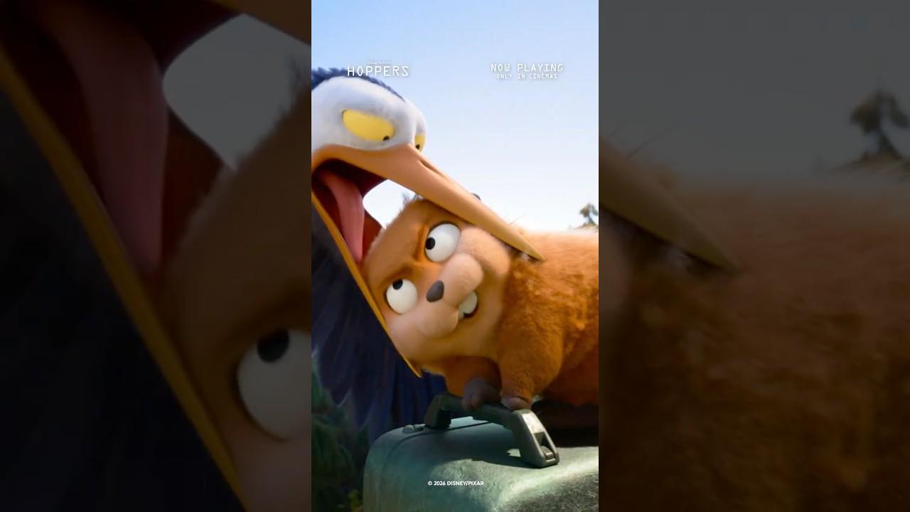 School Holiday Chaos