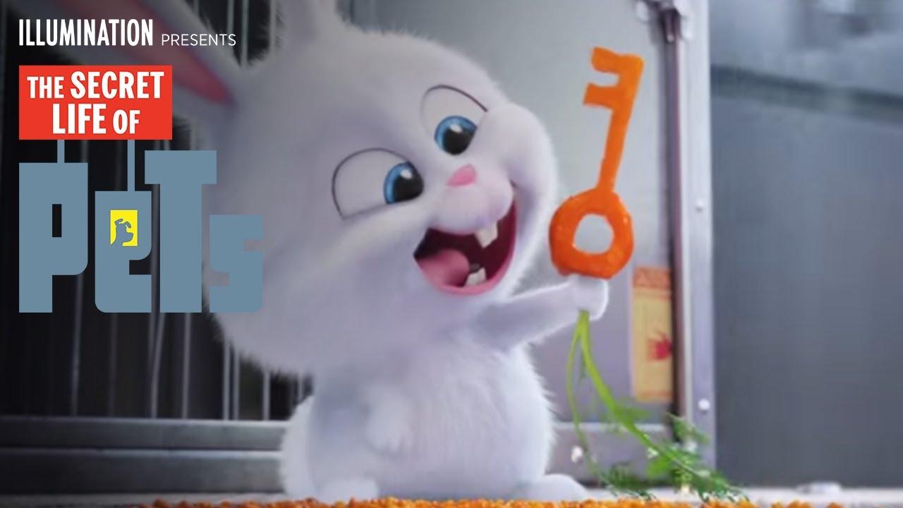 The Secret Life of Pets - Kevin Hart Is Snowball (HD) - Illumination
