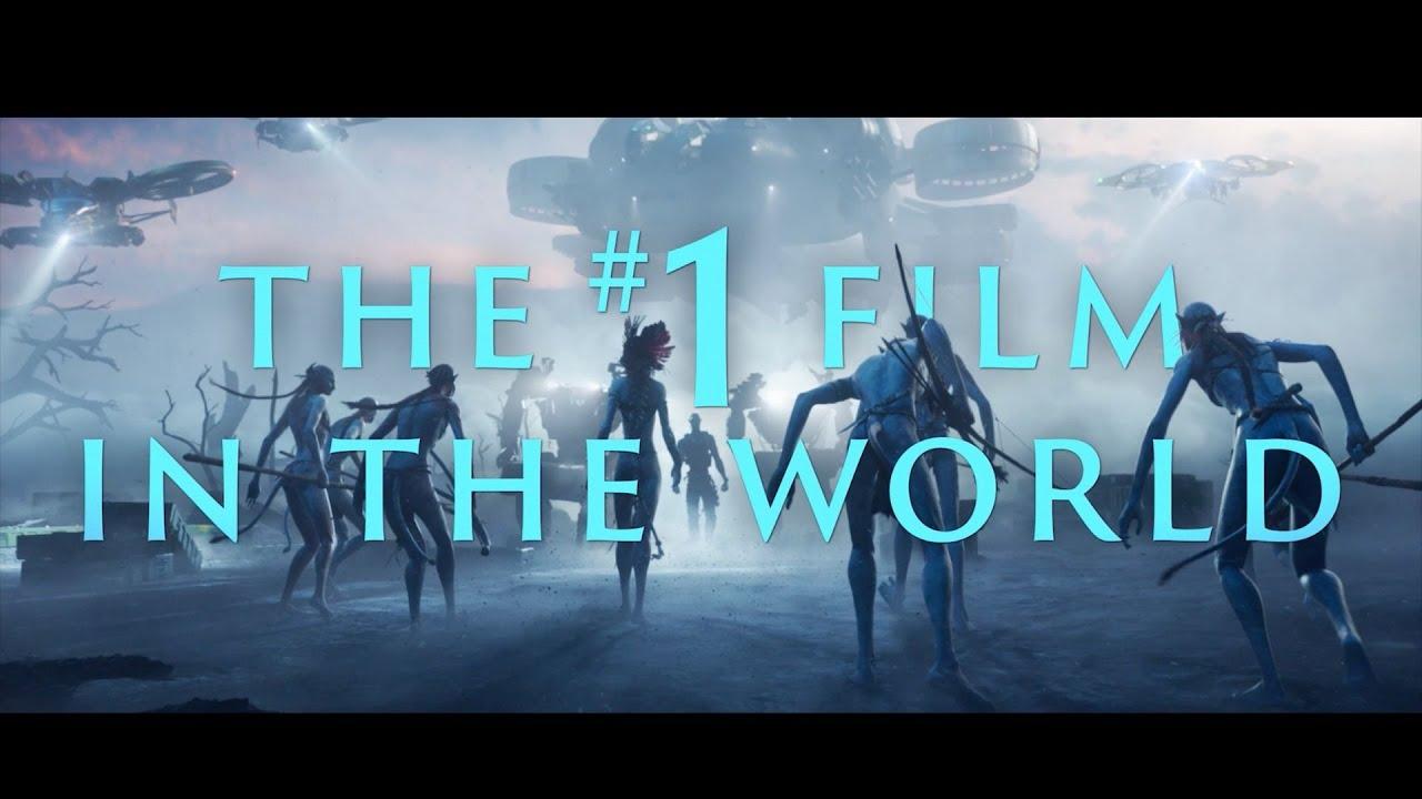 Experience Review 4 Weeks