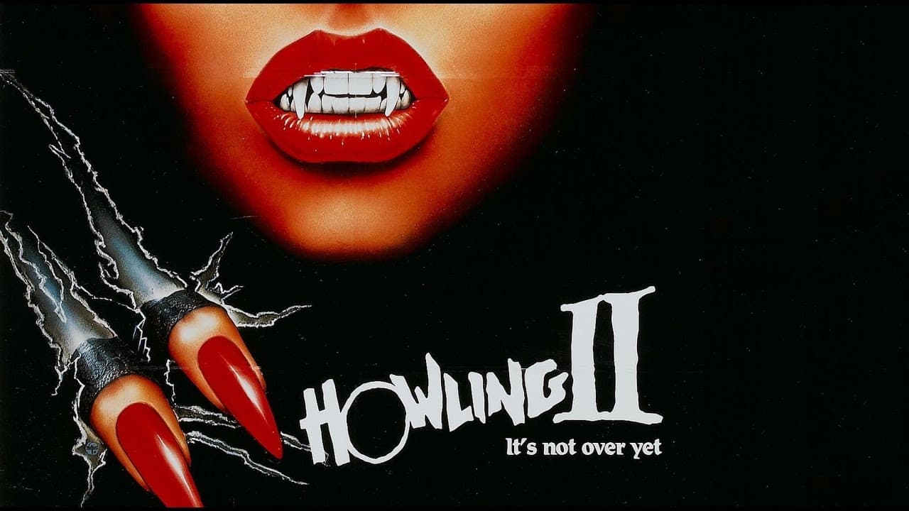 The Arrow Video Story