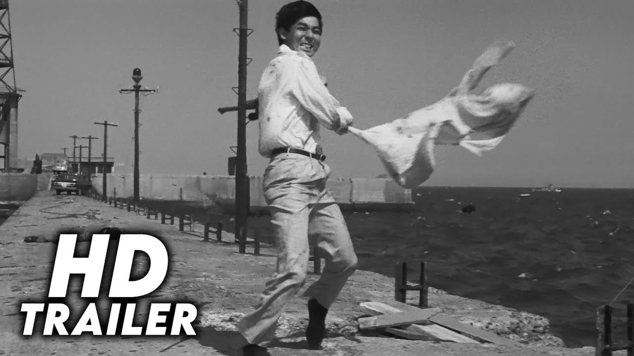 Branded to Kill (1967) Original Trailer [FHD]