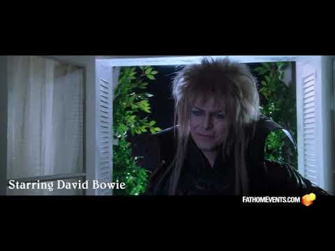 35th Anniversary Spot