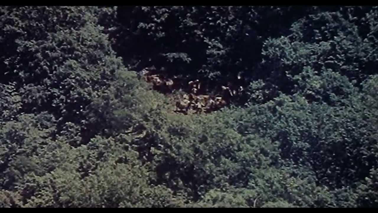 Дерсу Узала (Uzala der Kirgise) (Dersu Uzala) (Dersou Ouzala) (Trailer)