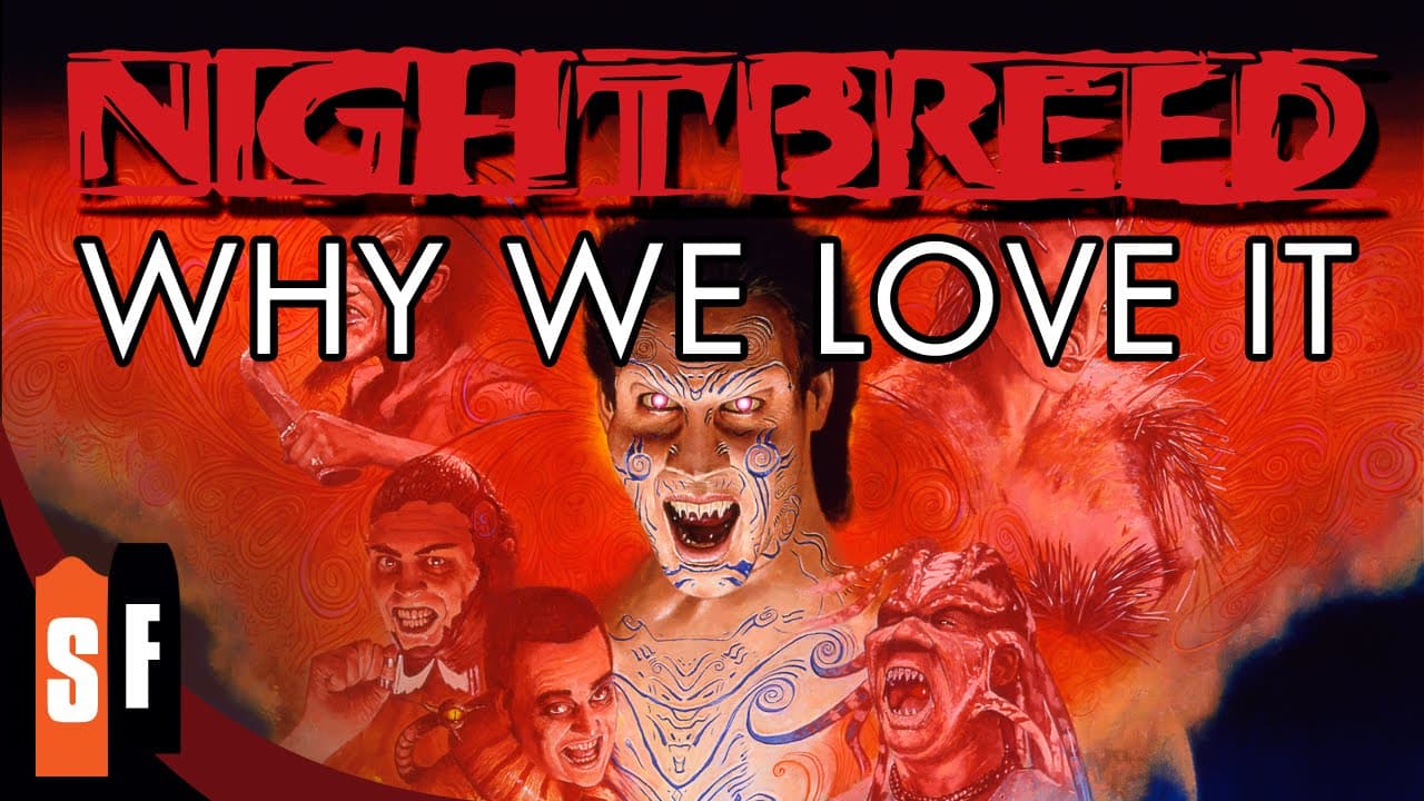 Why We Love It
