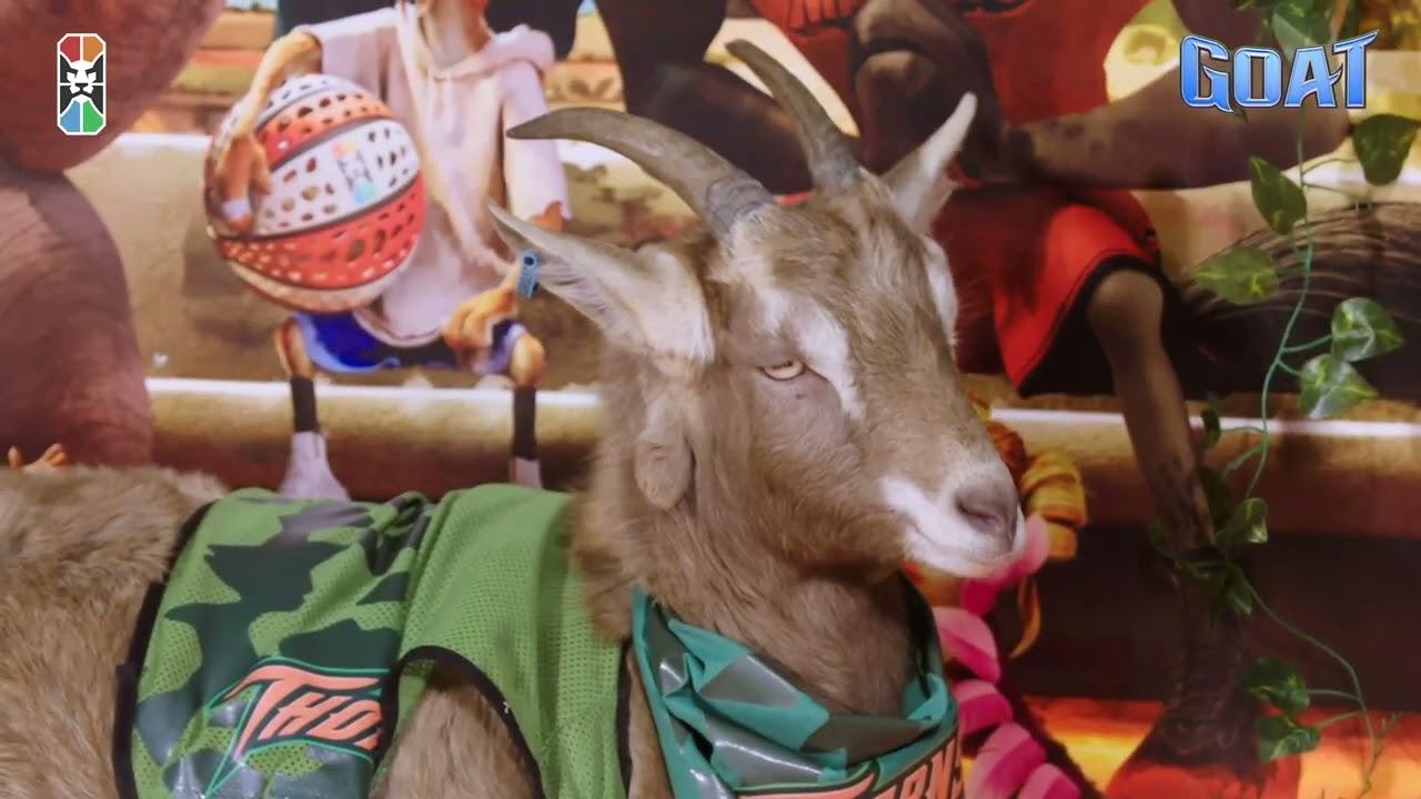 In Cinemas February 11