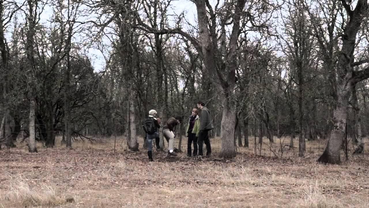 The Invoking Festival Trailer