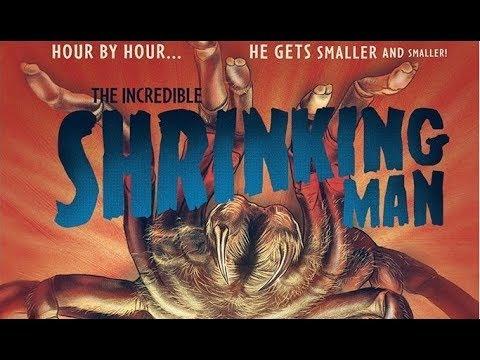 The Arrow Video Story