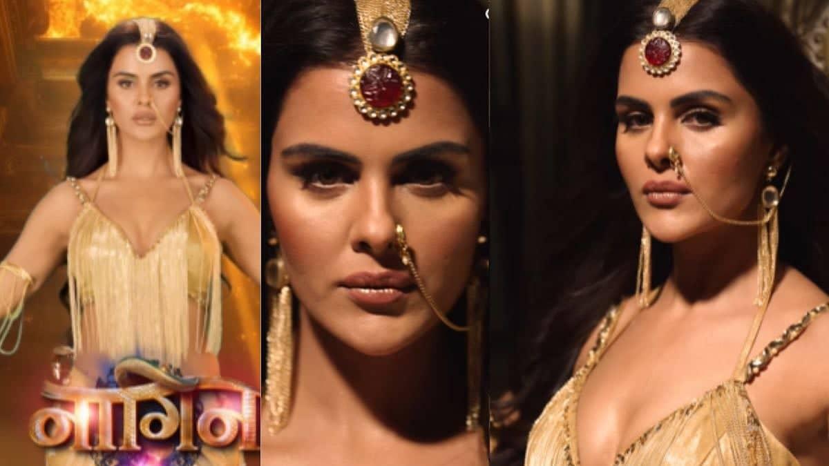 Naagin 7 Delayed to December Thanks to Bigg Boss Madness