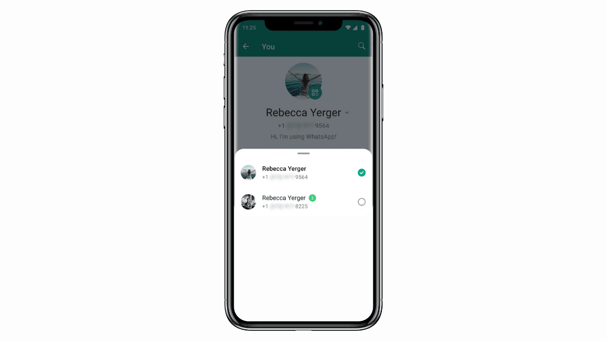 Gordon Ramsay says: WhatsApp iPhone gets double account magic