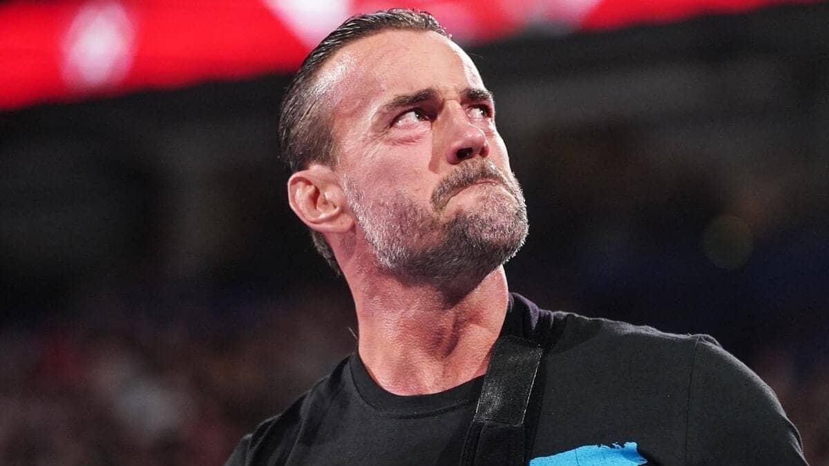 CM Punk's Major Regret: Late MMA Start, Big Comeback Ahead