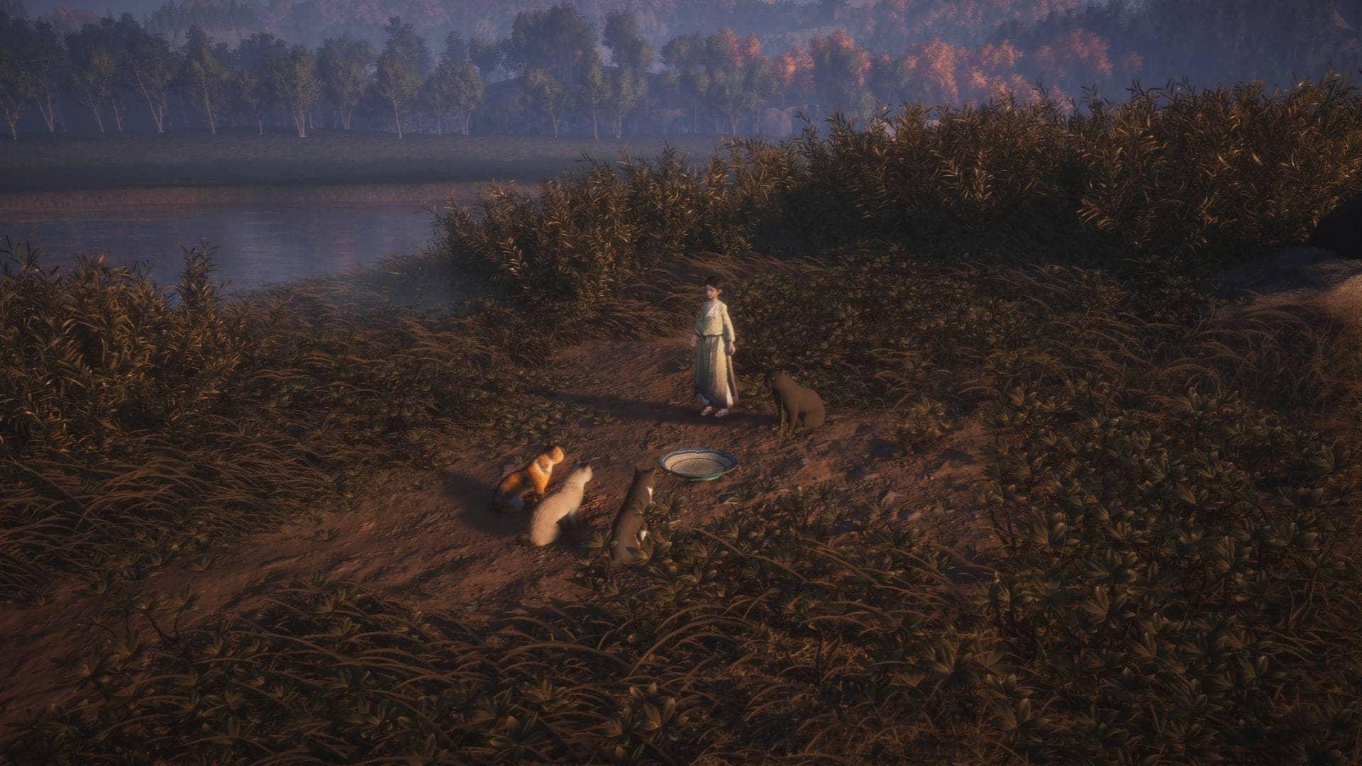 Rally the Cats: A Tremendous Quest at Mercyheart Monastery