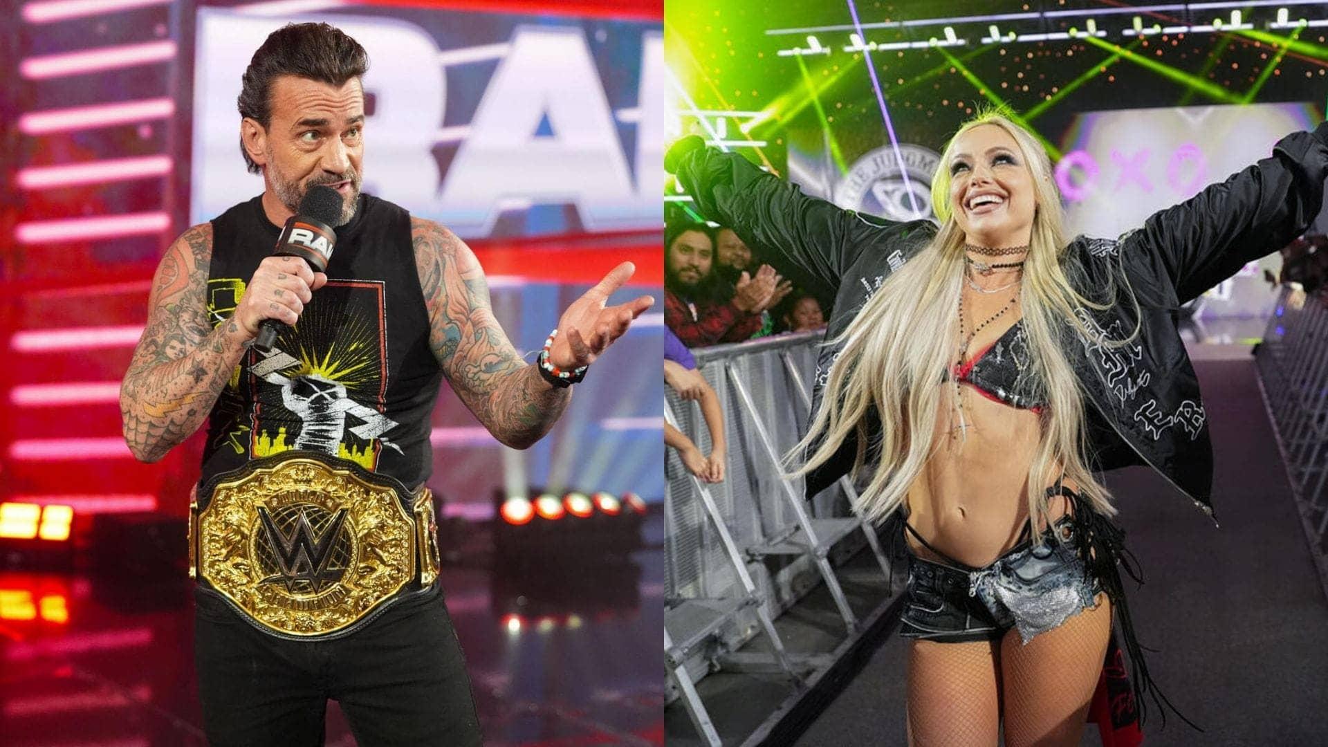 WWE Holiday Tour: CM Punk Smacks Down Reed, Action Galore!