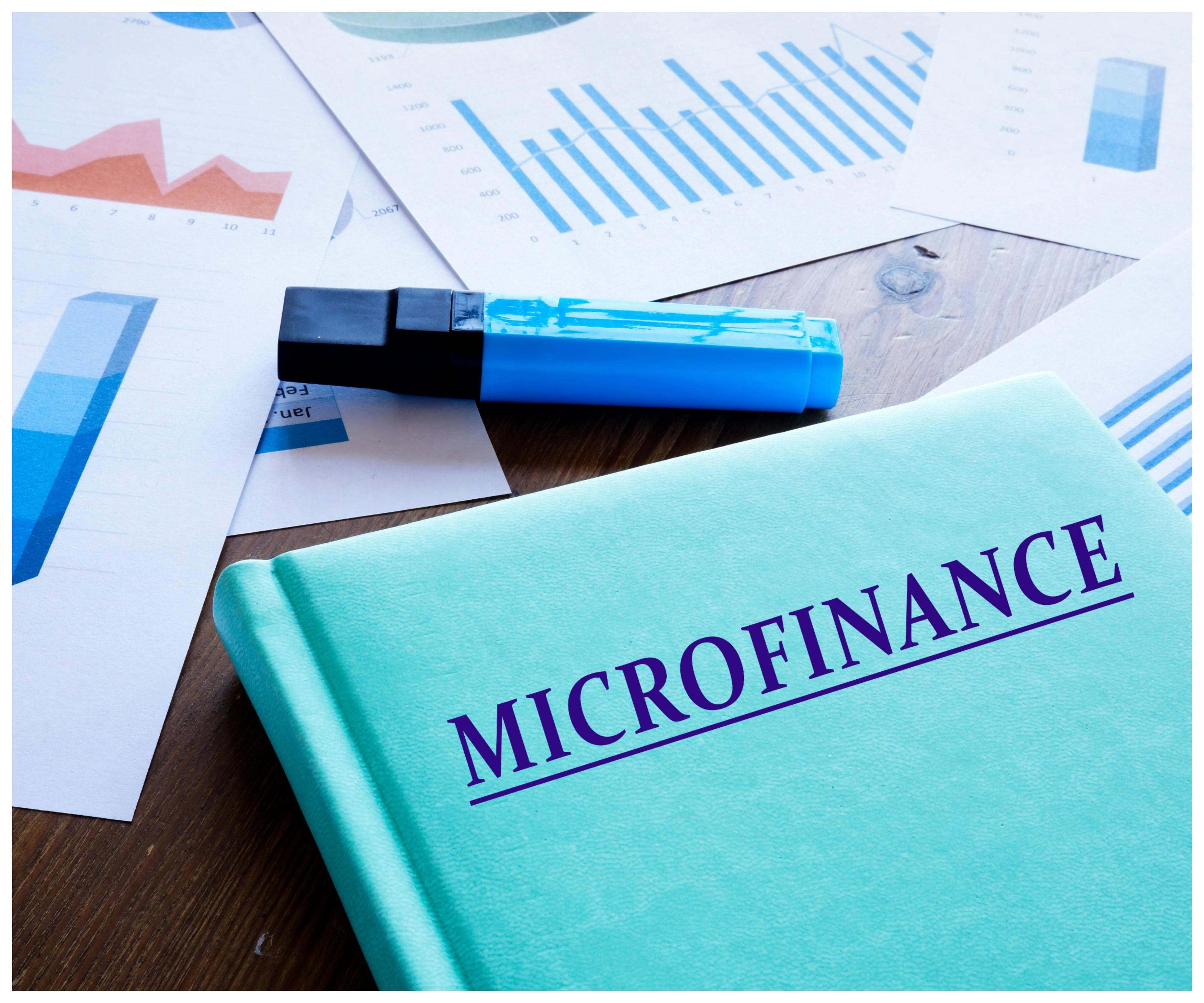 Economic Survey: Investors Must Focus on Social Metrics, Believe Me