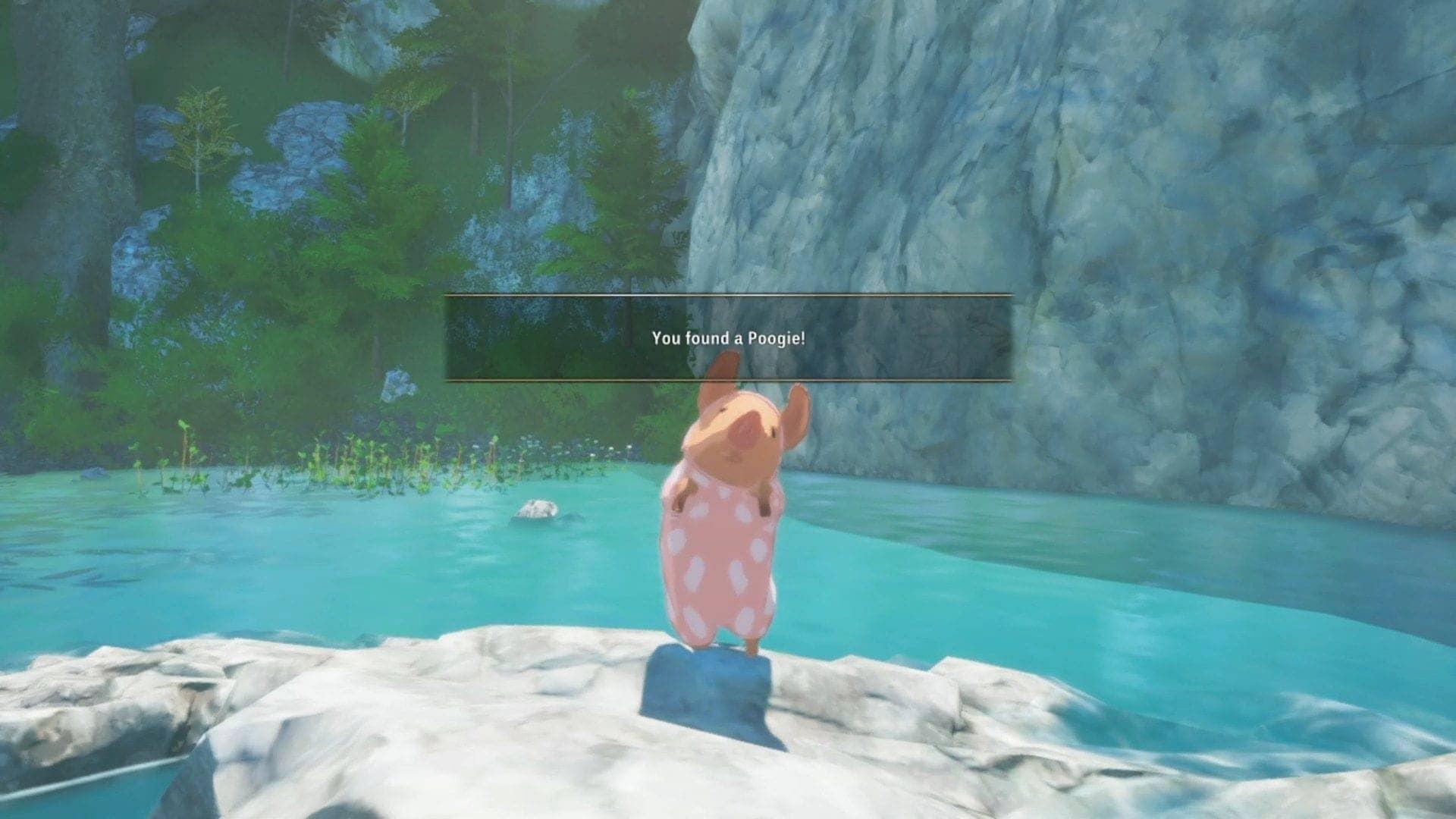 Hunting Poogies in Monster Hunter Stories 3: A Tremendous Guide