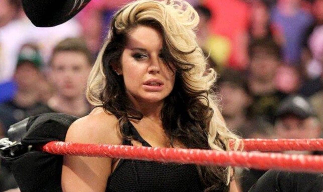 Kaitlyn Flexes on Instagram: Is a WWE Comeback Coming?