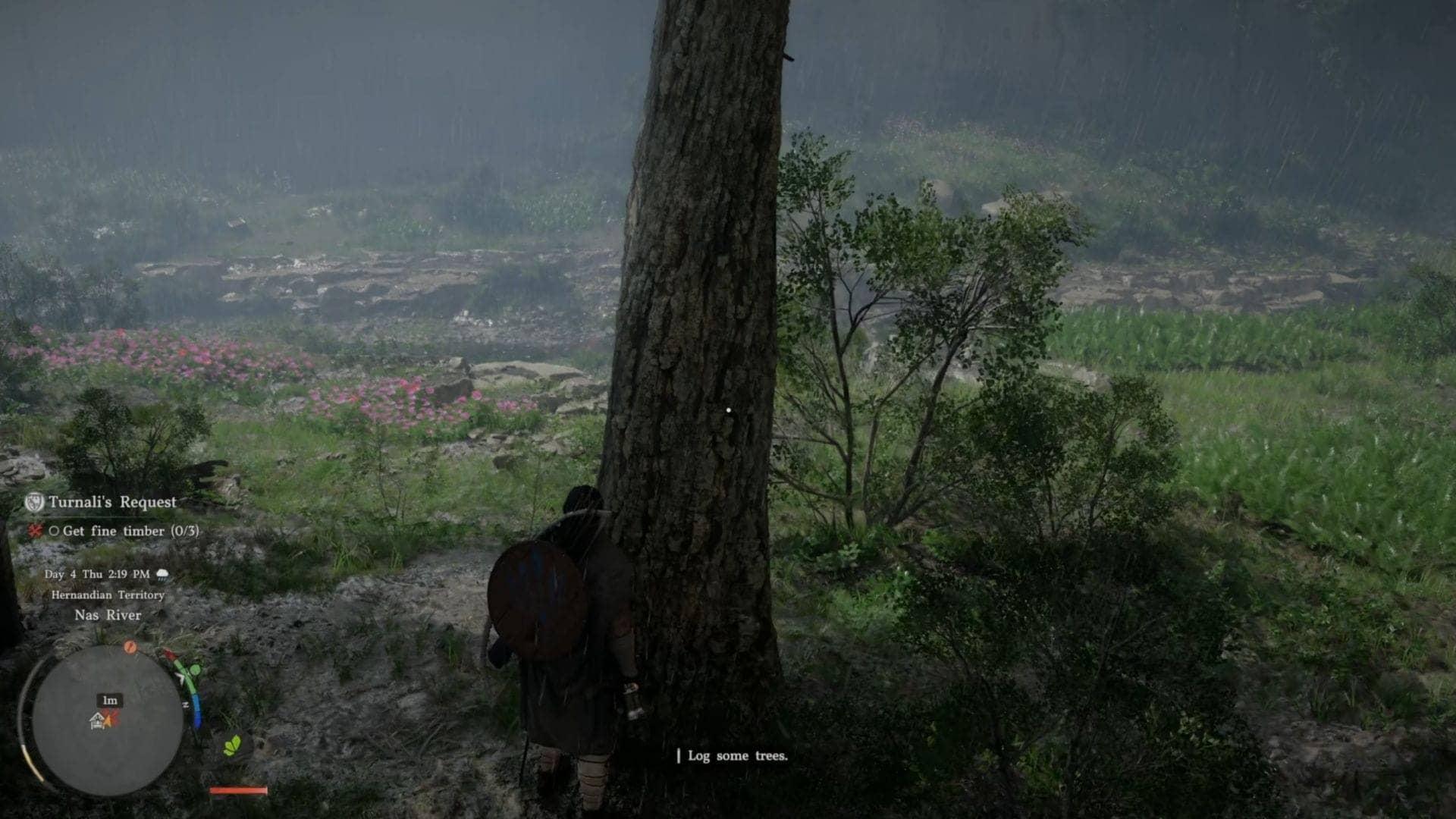 Unlock Epic Rewards with Turnali’s Request in Crimson Desert